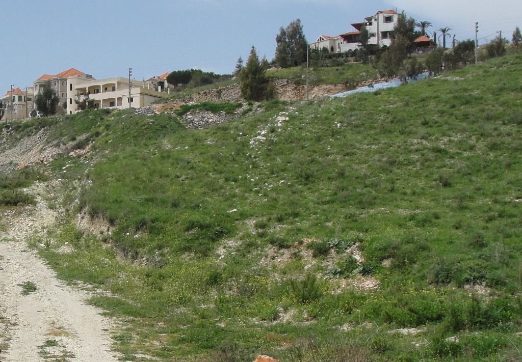 خذني زرعني بأرض ...الخيام