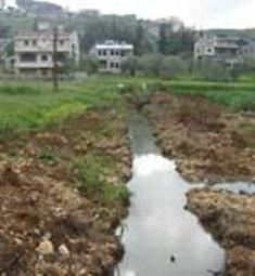 مياه الصرف الصحي في الحقول الزراعية