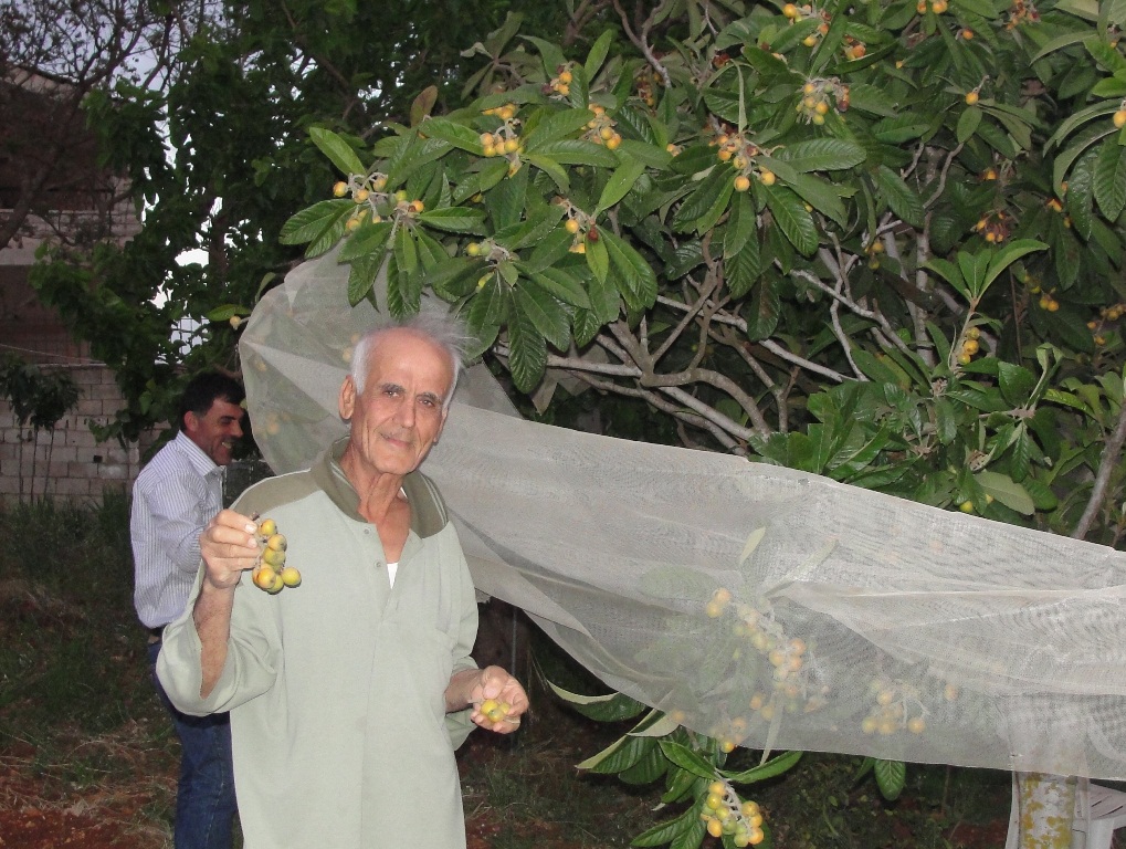 علي عبد الحسن مهدي