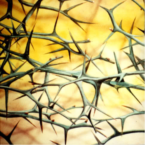 .. مشيت على الأشواك