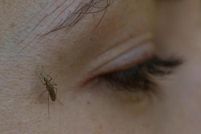 اي نوم سنحظى به ونحن نلطم وجوهنا وحتى ايدينا