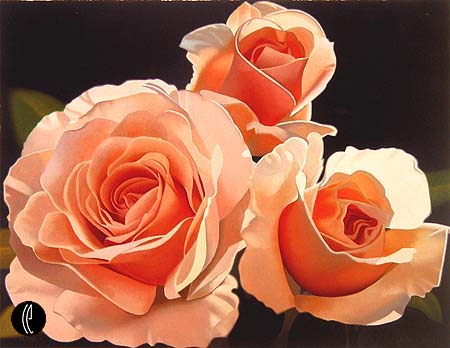 ثلاث وردات نبتت في حديقة عمري.. أضأن حياتي نوراًُ !