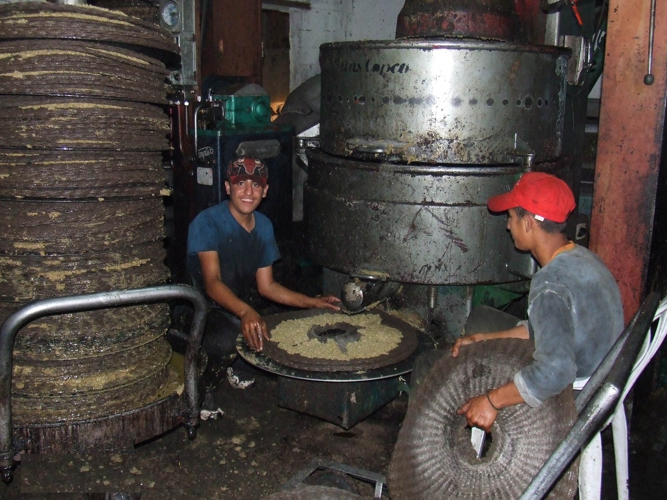 معصرة زيتون