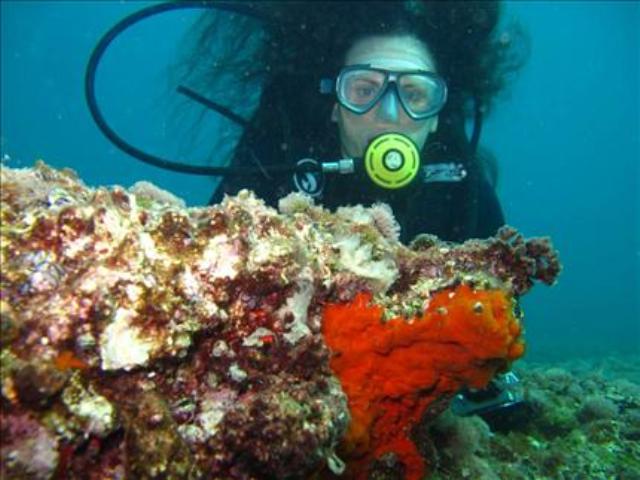 إحدى الصور الفائزة في مسابقة بحر صور