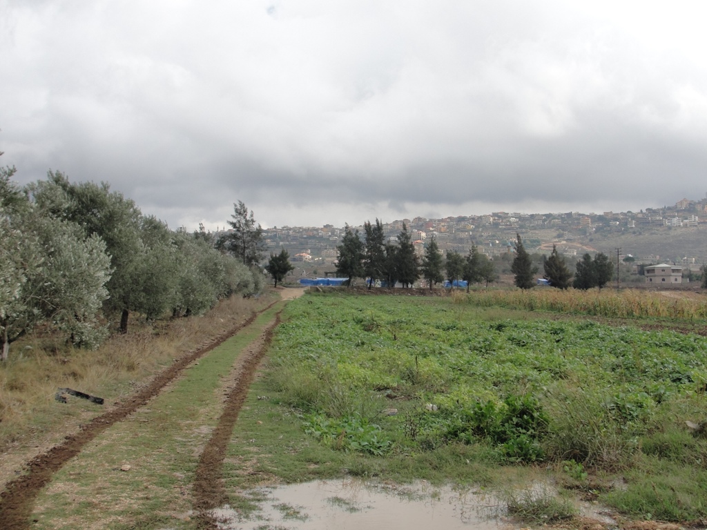 الخيام .. يا أغلى الغَوالي