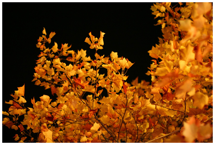 ليلة خريفية