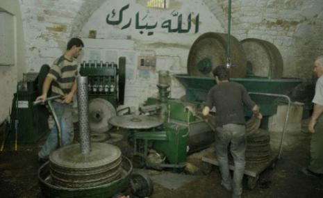 الحاج حسن: لا زراعة من دون دعم وتعاون من الدولة (كامل جابر)