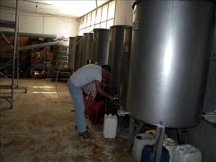 خزّانات طافحة بزيت الزيتون في حاصبيا