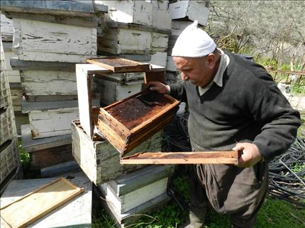 يتفقد قفرانه التي باتت من دون نحل