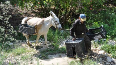 تُعدّ بلدية دير قانون النهر لإنشاء عبّارة في وادي البلدة (الأخبار)