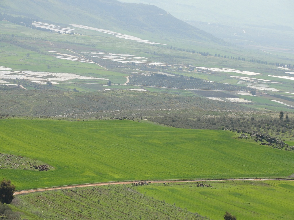 ربيع الخيام.. شرَّفت دارك!