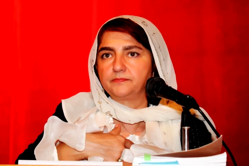 الدكتورة عبود