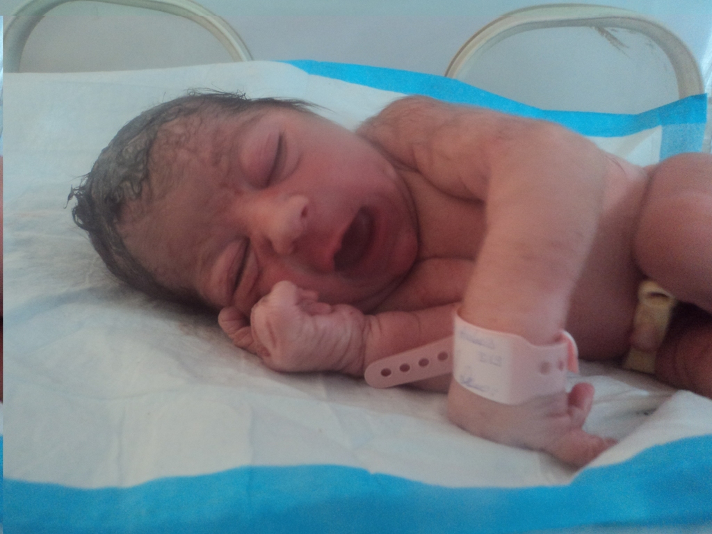 أميرة علي كامل أبو عباس