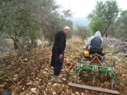  يواصل المزارعون العناية بحقولهم الزراعية على الرغم مما يتكبدونه من خسائر واكلاف باتت تفوق قدرتهم المادية