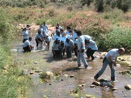 حملة لإنقاذ سمك الحاصباني:  خلال عملية انقاذ السمك