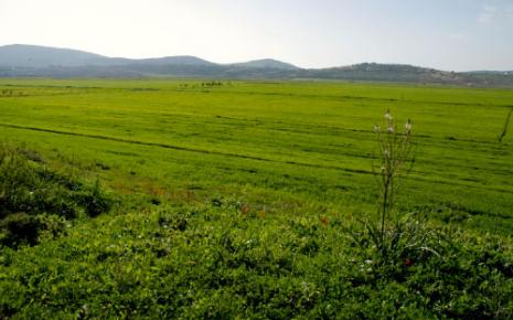 ما يشفع لسهل الخيام تعلّق أهله به. فلولا هذا التعلّق، لاستحال أرضاً بوراً، بسبب التكاليف التي كان يتكبدها المزارعون من زراعاتهم. لكن المز