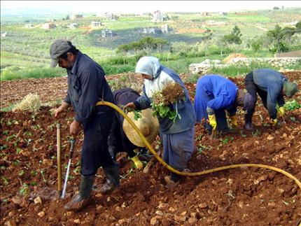 معظم الذين أصيبوا بالقنابل العنقودية جنوبا هم من المزارعين