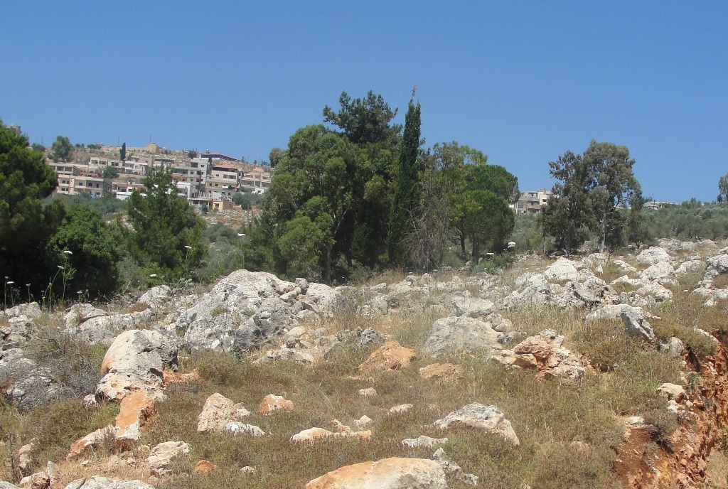 جانب من العقار