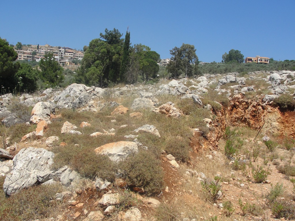 جانب من العقار