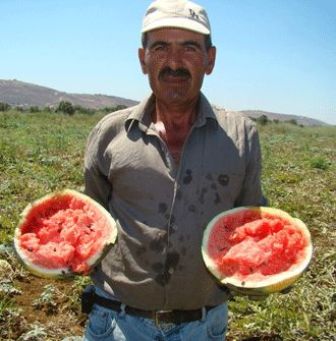 مواسم حاصبيا ومرجعيون.. \