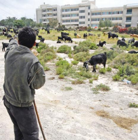 «نيو خلدة»: لا هي بقيت ضيعة ولا استحالت مدينة (هيثم الموسوي)