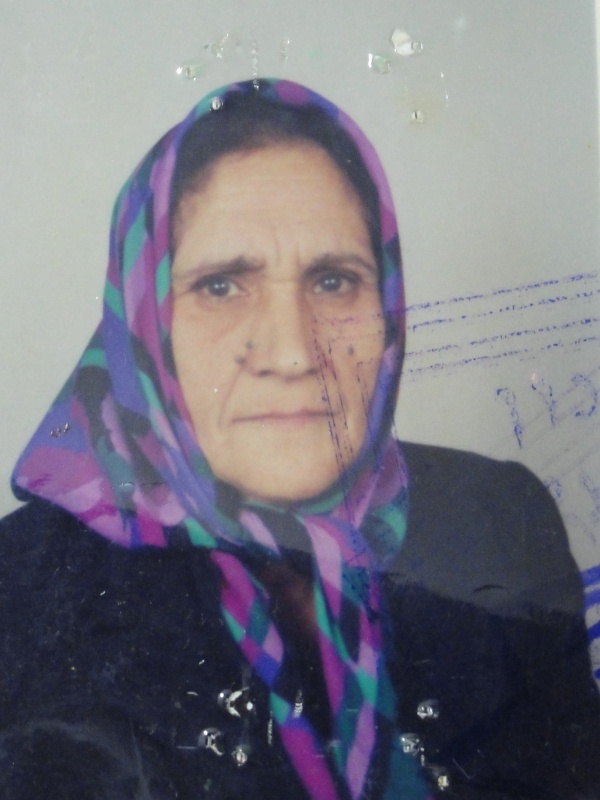 المرحومة فاطمة الحاج محمد حسن عواضة (أم نبيل مهنا)، نجمة الخيام في قناة المنار خلال عدوان تمّوز