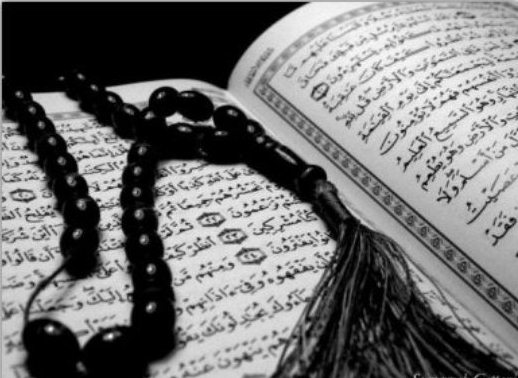 الحاجة فاطمة محمد رضا خريس (أم حسين حمدان) .. هنيئا لها الجنة