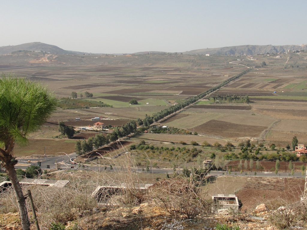 اكتب اليك بريشة عصفور وهديل الحمام