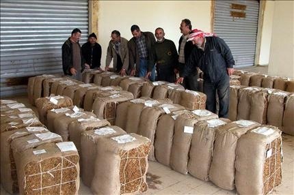 تحدد وزارة المال وإدارة الريجي سقف إنتاج التبغ في الجنوب بخمسة ملايين وأربعمئة ألف كيلو غرام سنوياً (أرشيف «السفير»)