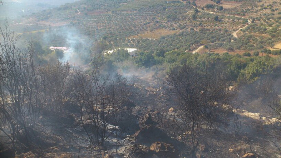 الحريق اتى على مساحات كبيرة من الاشجار المثمرة