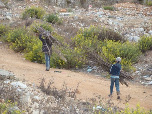 لاكثر من 150 عائلة سورية نازحة في منطقة تسمى مرج الخوخ، وهي ارض زراعية في سهل بلاط، قضاء مرجعيون قدمها لهم بعض من اصحابها من دون اي مقابل