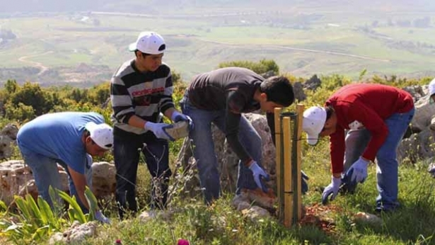 رجال ونساء واولاد من مختلف الاعمار، جمعهم حبّ الأرض، فقاموا بغرس أكثر من 55 ألف نصبة في بلدة القليعة