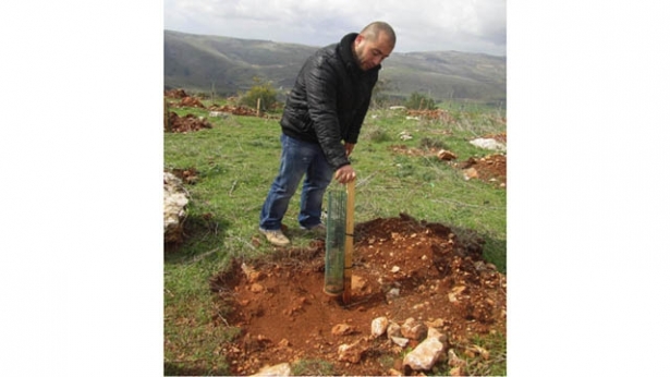 رجال ونساء واولاد من مختلف الاعمار، جمعهم حبّ الأرض، فقاموا بغرس أكثر من 55 ألف نصبة في بلدة القليعة