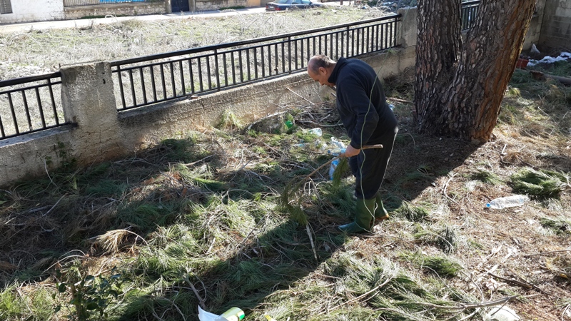 أخذوا الأغصان وتركوا ال \