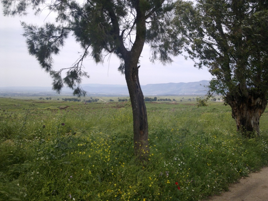 تنتهي حياتنا بغفلة زمنية ليس لنا فيها من خيار