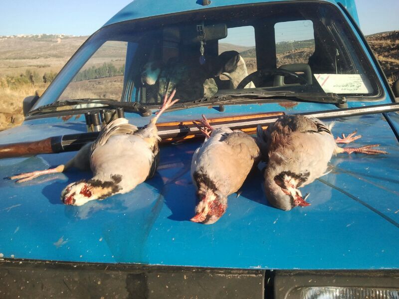 المختار علي رشيد.. يعرف كيف ومتى يصيب