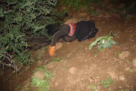 جثة بغداد في حقل زراعي في الوزاني