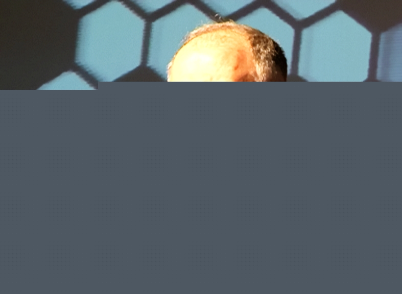 وزير التنمية الإدارية محمد فنيش\