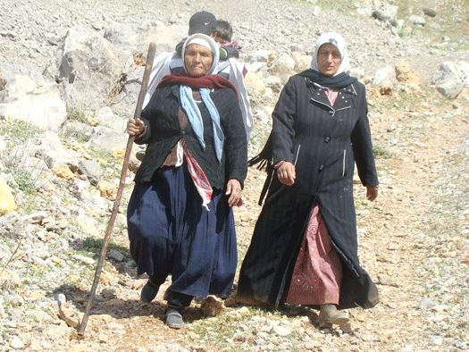 يتواصل توافد النازحين السوريين من بلدة بيت جن والبلدات المجاورة في سوريا الى بلدة شبعا وقرى العرقوب