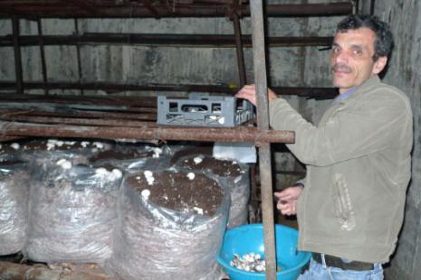 خاض أبو نعيم هذه المغامرة بعناد ومثابرة (الأخبار)