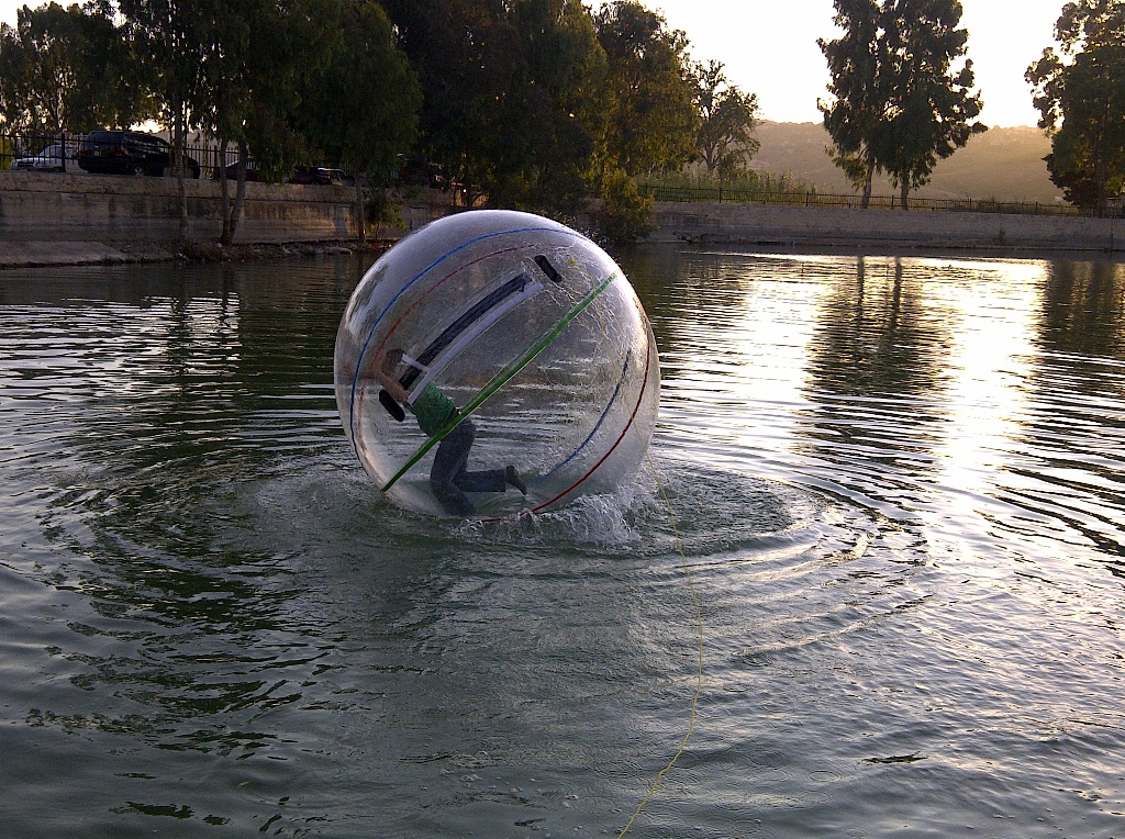 سنرجع يوما الى الخيام  ونطرب لاصوات الطيور على مختلف الحانها