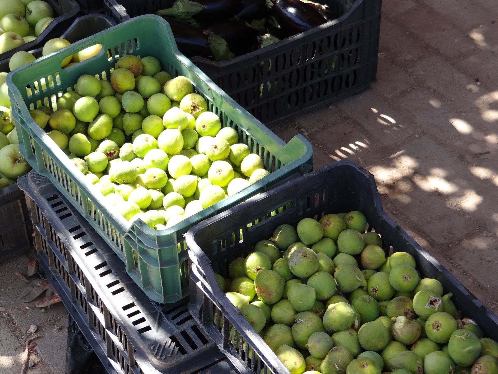 ثمار التين الحاصباني، معروضة في سوق الخان، انعكست عليها تقلبات الطقس هذا الصيف