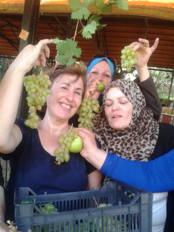 وفاء وصباح أبو عباس