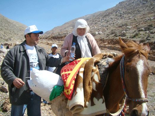 النقل على البغال من وإلى الأراضي السورية مع شبعا