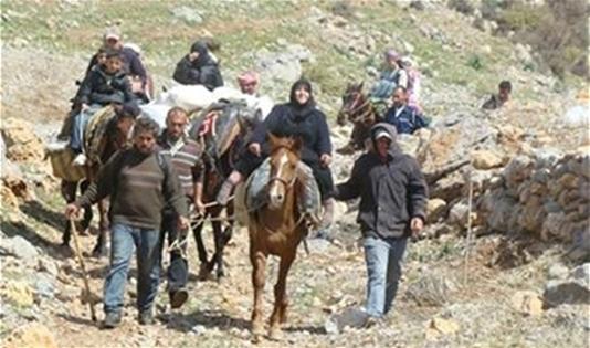 وسيلة النقل الوحيدة للنازحين من سوريا إلى شبعا عبر «الدواب»