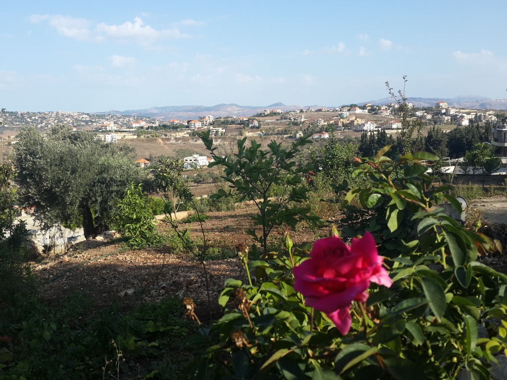 يُحكى عن قصة حبّ في الخيام بين وردة الصيف وغيم الشِتاء