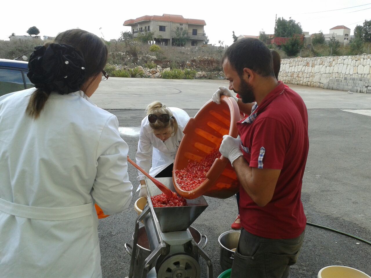 دبس الرمّان أصبح مكونا أساسيا في \