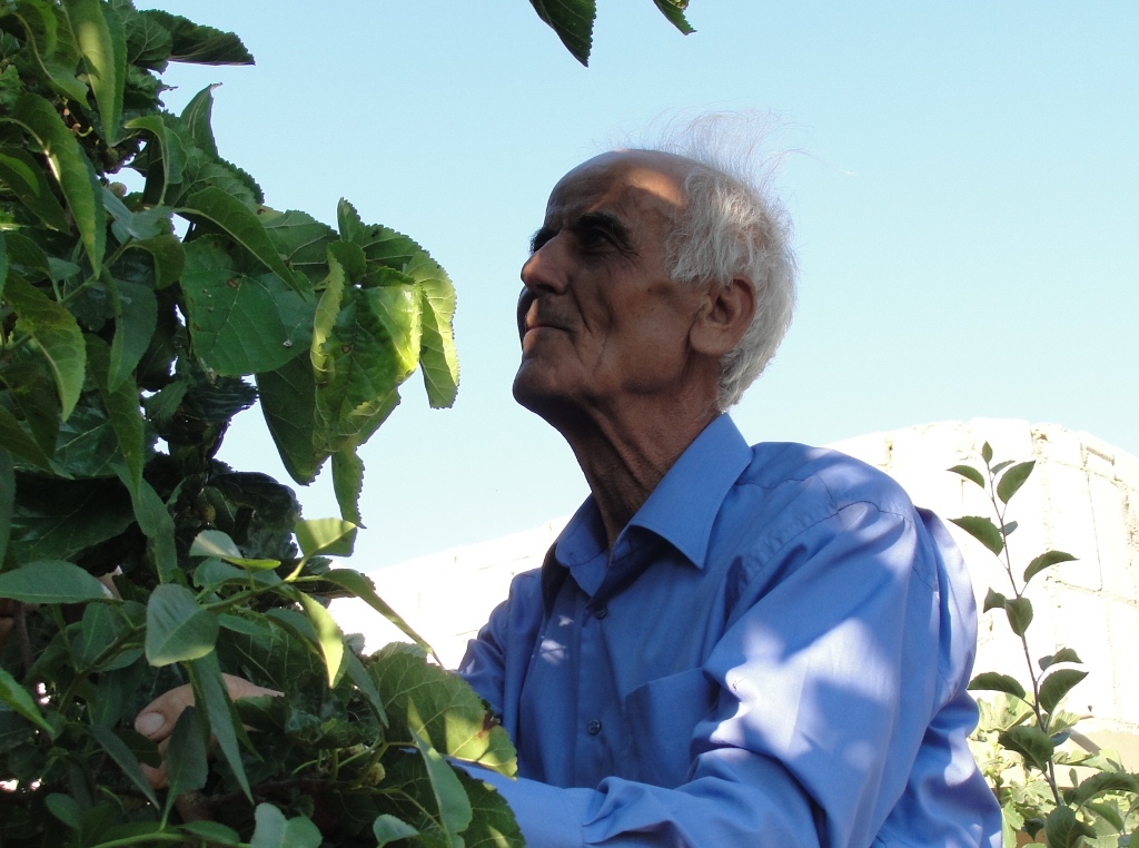 الكاتب أبو حسين علي عبد الحسن مهدي