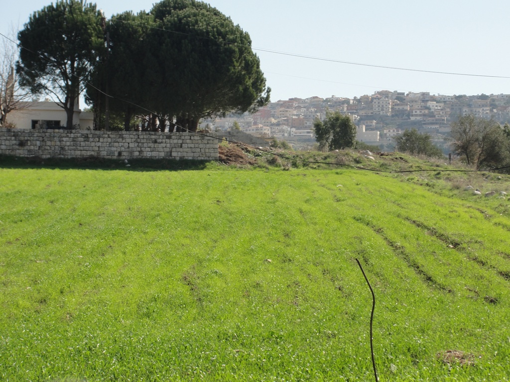 جنَّتي،  فيها قرىً، أختار إحداها أسميها الخيامْ.