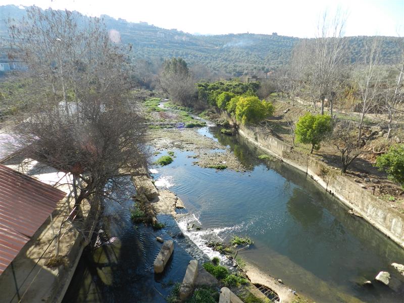 نهر الحاصباني ساقية صغيرة (طارق أبو حمدان)
